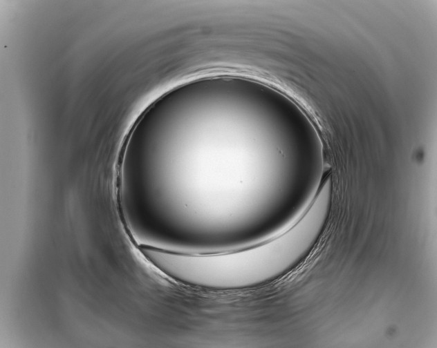 X0000099431535200805161058