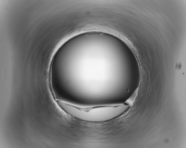 X0000099431536200805161058