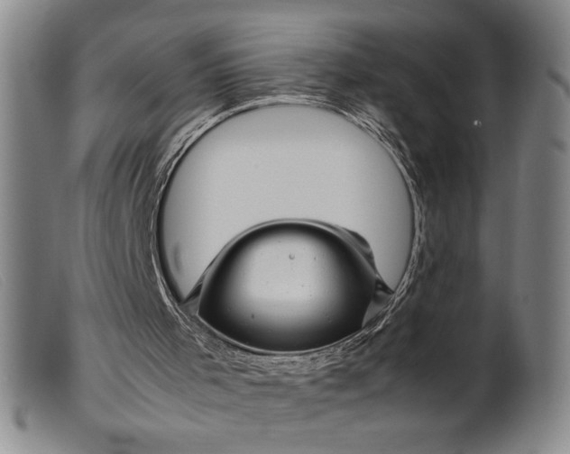 X0000099430001200805231704