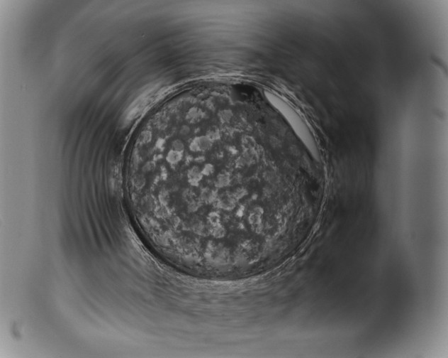 X0000099430002200805231704