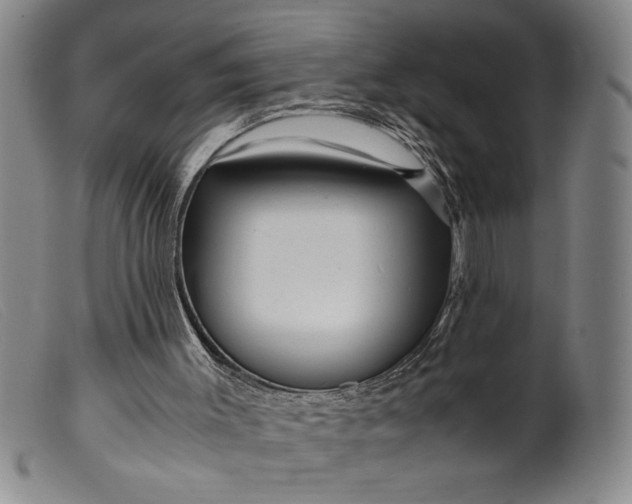 X0000099430003200805231704