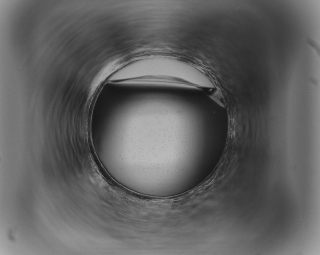 X0000099430004200805231704