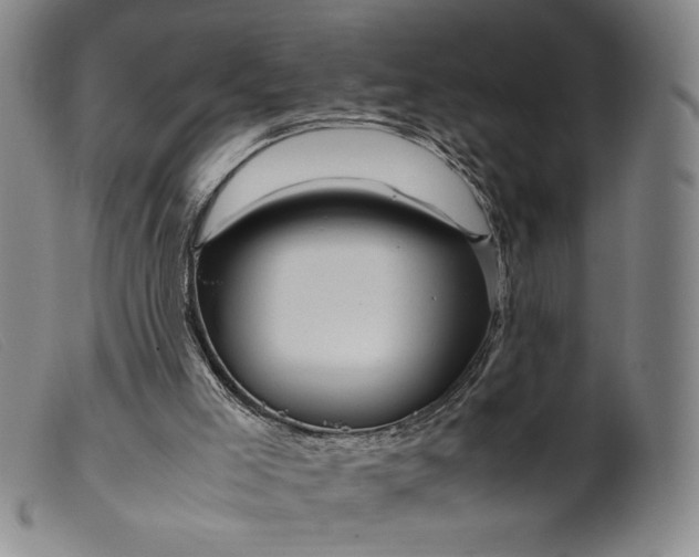 X0000099430005200805231704
