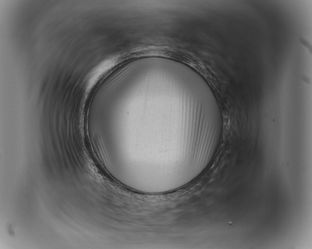 X0000099430006200805231704
