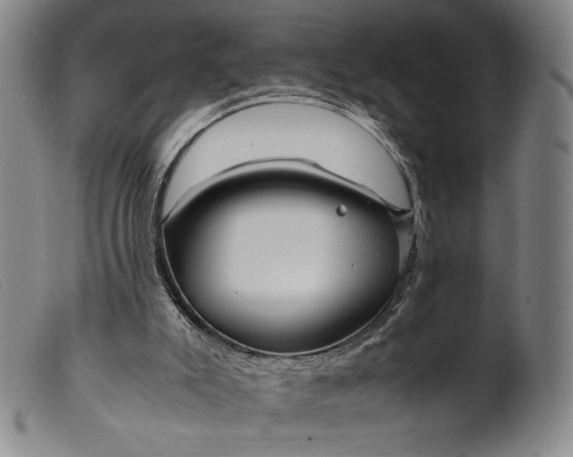X0000099430007200805231704
