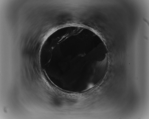 X0000099430008200805231704