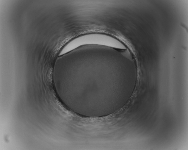 X0000099430009200805231704