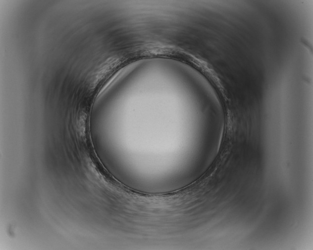 X0000099430010200805231704