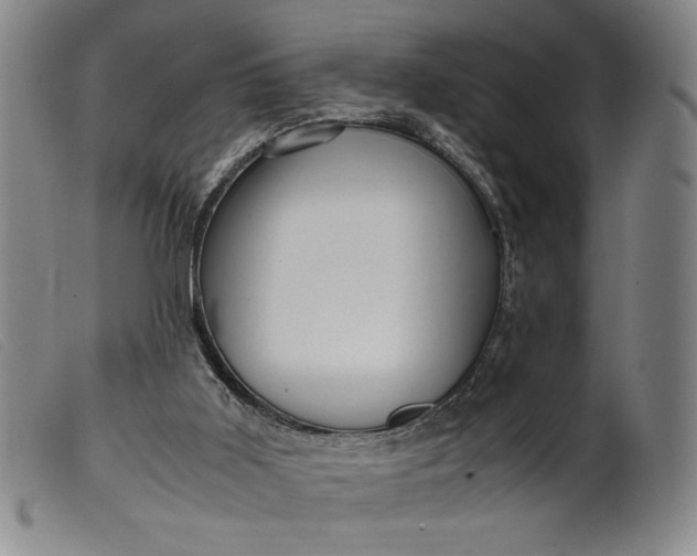 X0000099430011200805231704
