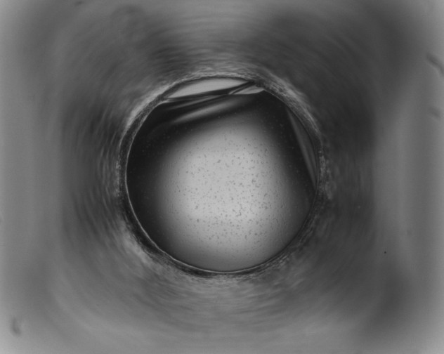 X0000099430012200805231704