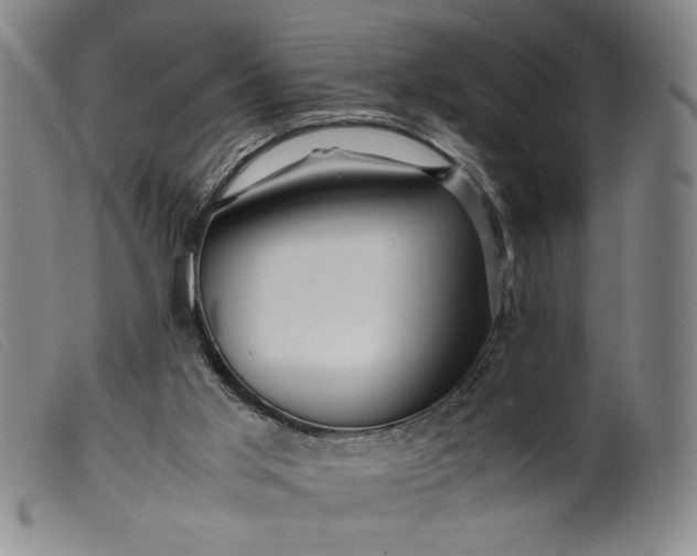 X0000099430013200805231704