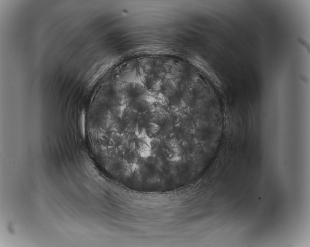 X0000099430014200805231704