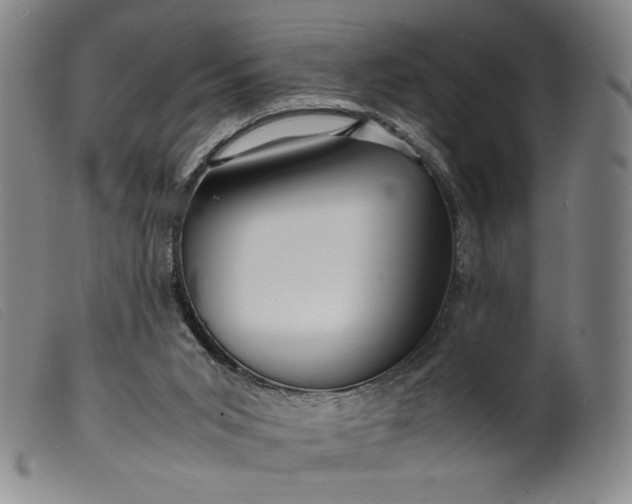 X0000099430015200805231704