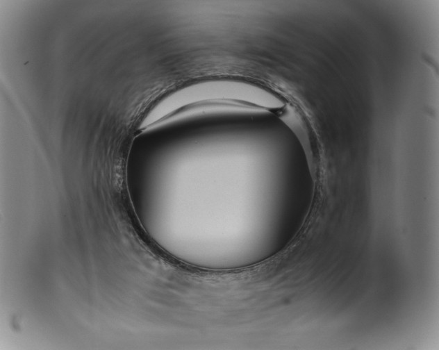 X0000099430017200805231704