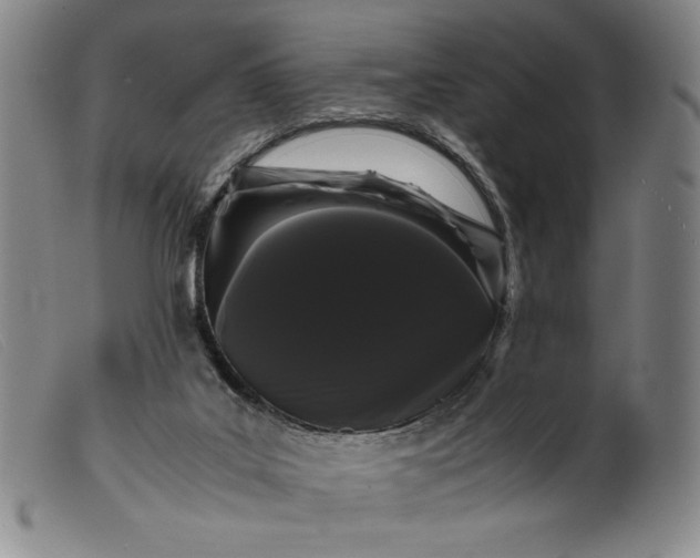 X0000099430019200805231704