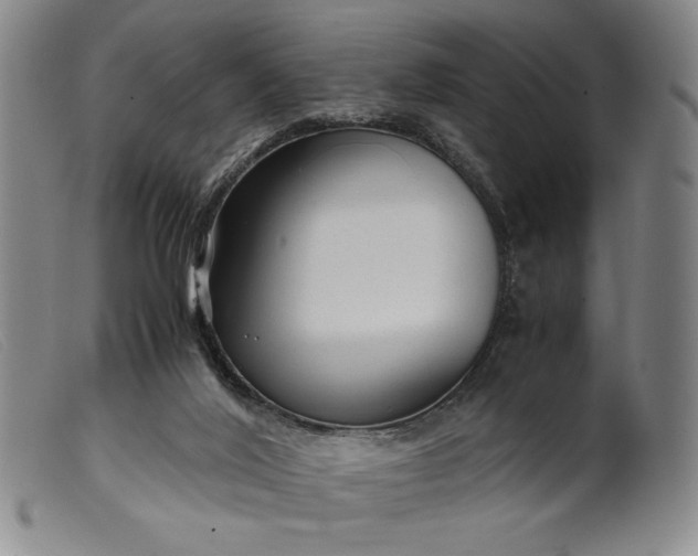 X0000099430020200805231704