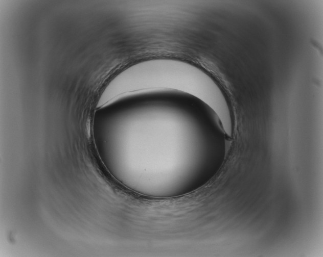 X0000099430021200805231704