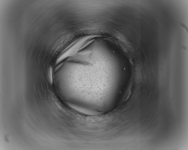 X0000099430022200805231704