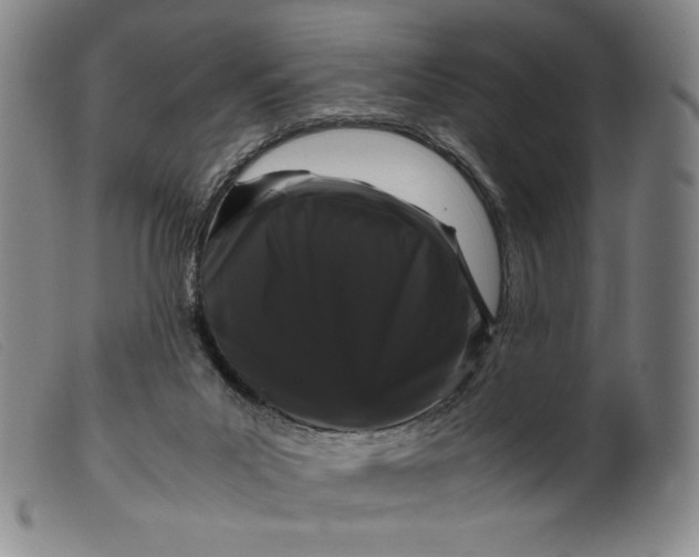 X0000099430023200805231704
