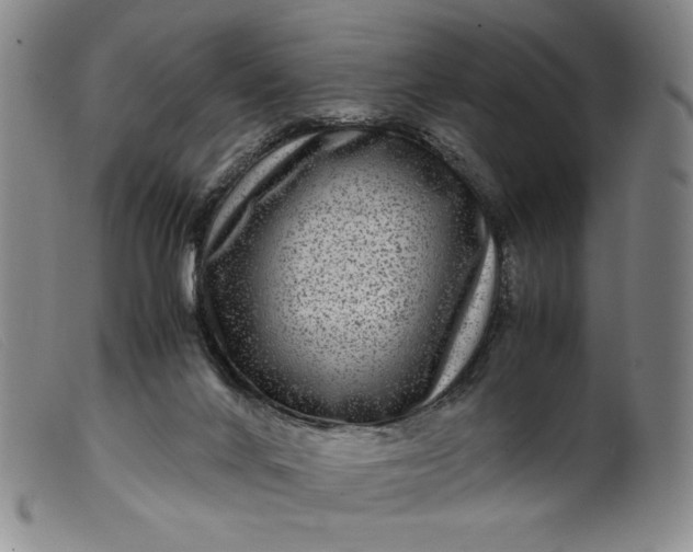 X0000099430024200805231704