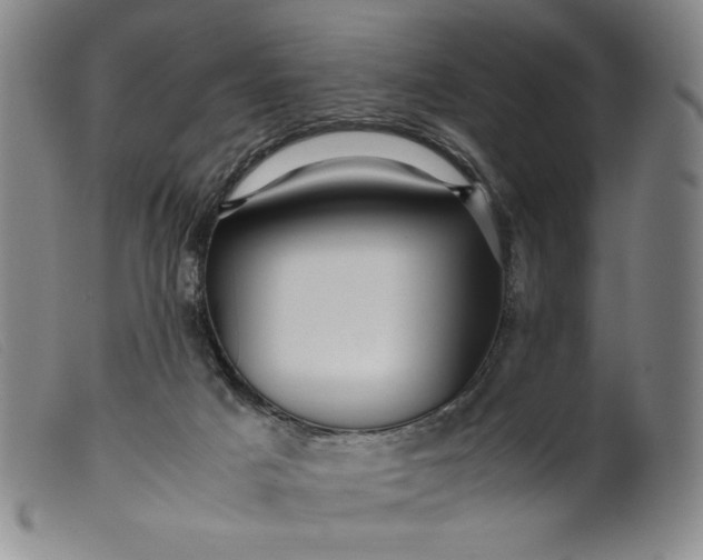 X0000099430025200805231704