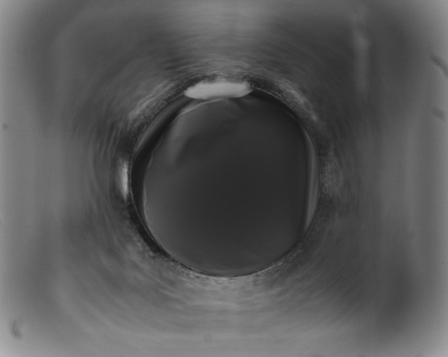 X0000099430027200805231704