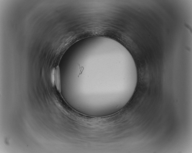 X0000099430028200805231704