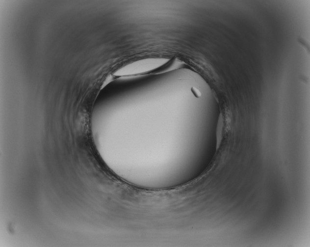 X0000099430029200805231704