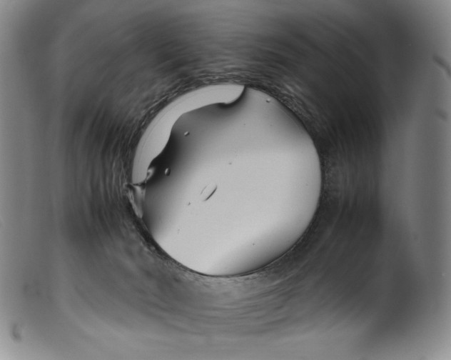 X0000099430030200805231704