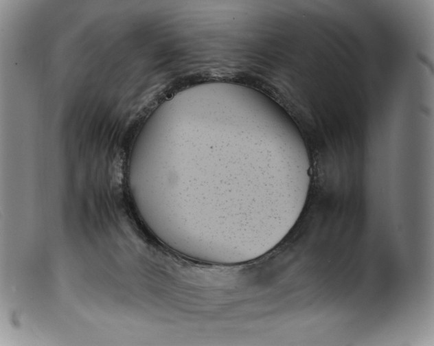 X0000099430032200805231704