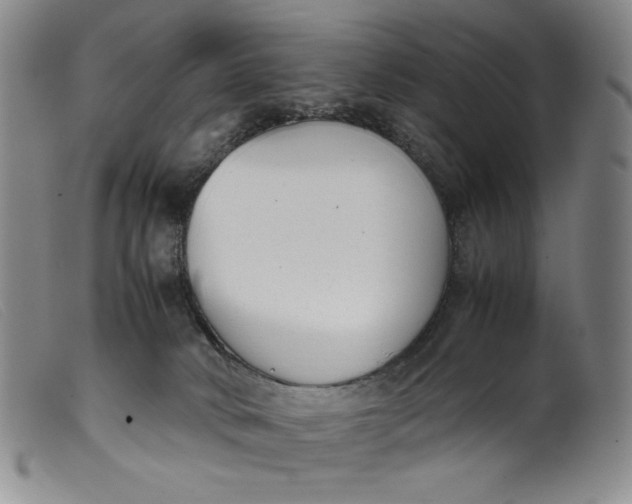 X0000099430034200805231704