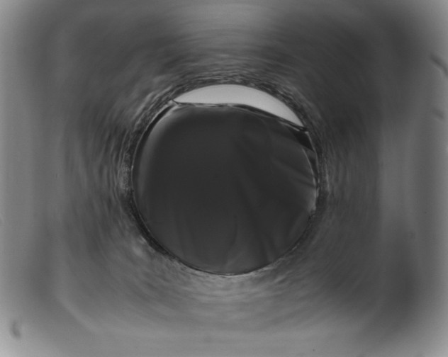 X0000099430035200805231704
