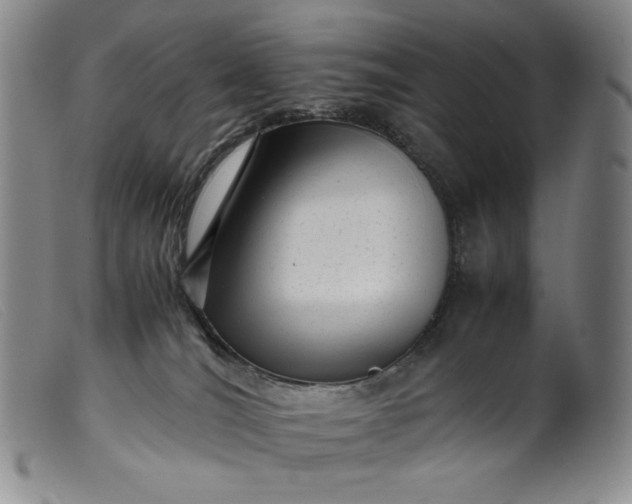X0000099430036200805231704