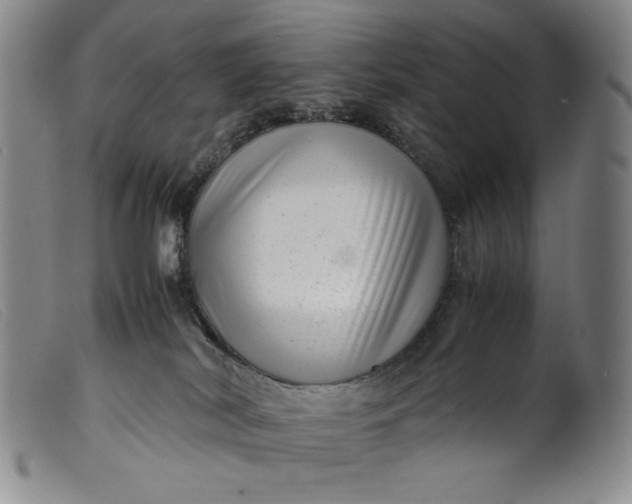 X0000099430038200805231704