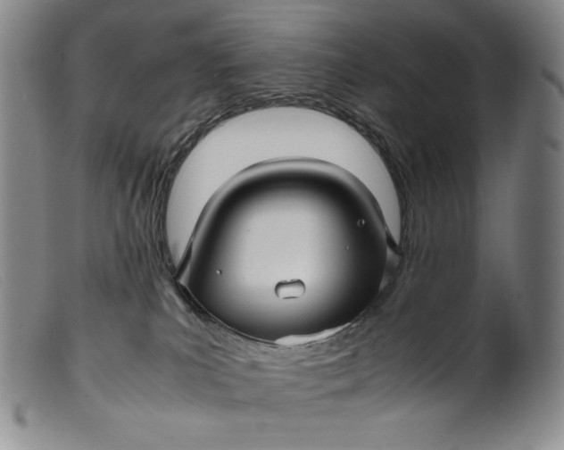 X0000099430039200805231704