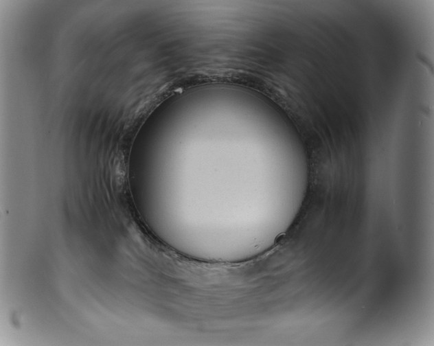 X0000099430040200805231704