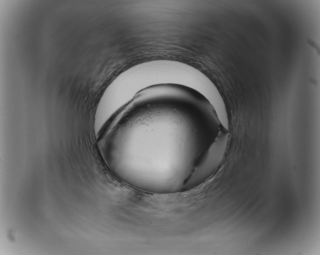 X0000099430041200805231704