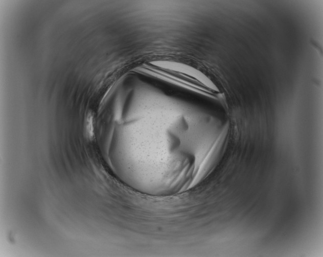 X0000099430042200805231704