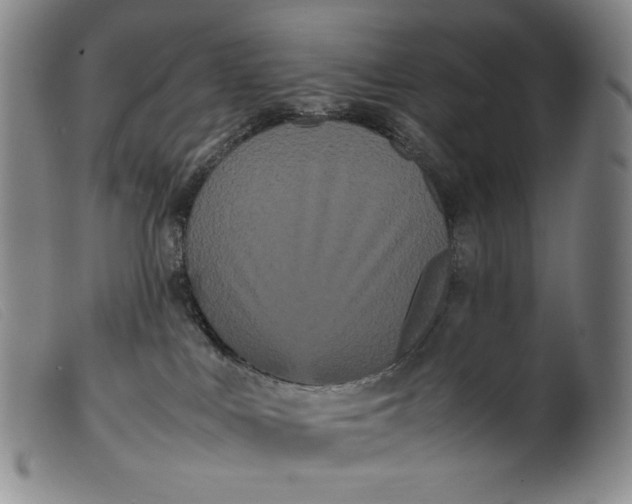 X0000099430043200805231703
