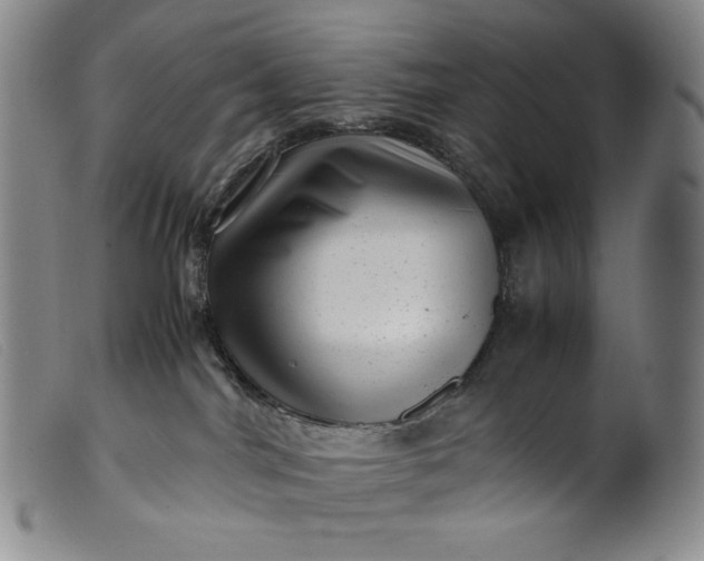 X0000099430044200805231703