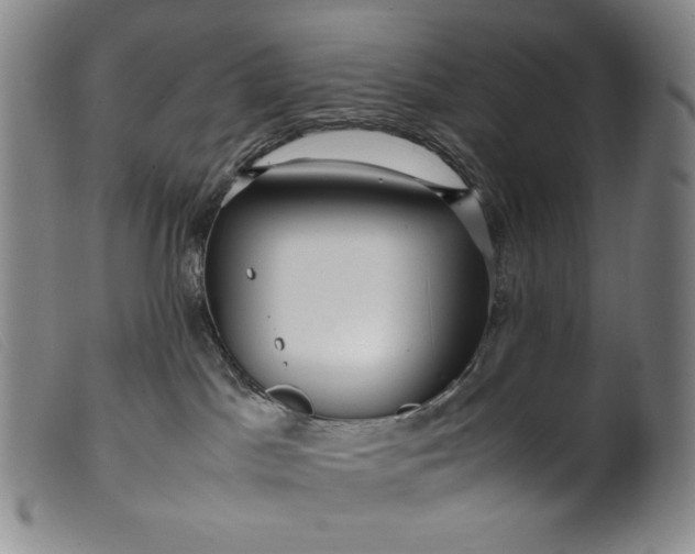 X0000099430045200805231703