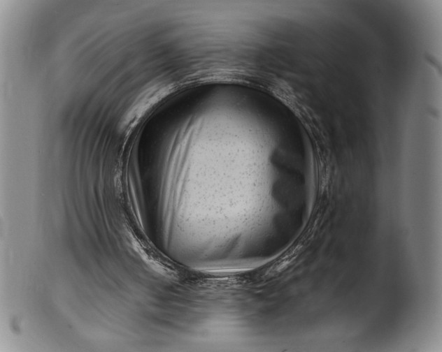 X0000099430050200805231703