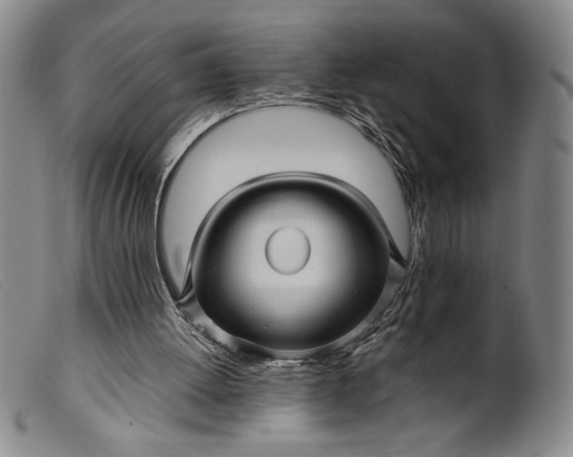 X0000099430052200805231703