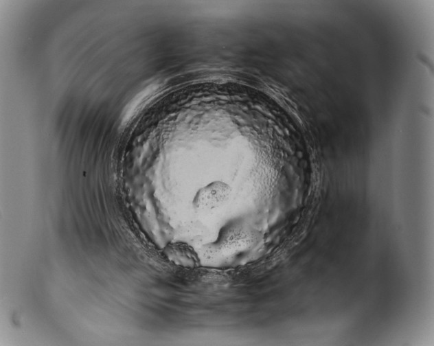 X0000099430053200805231703