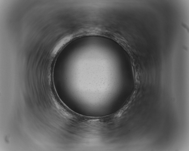 X0000099430054200805231703