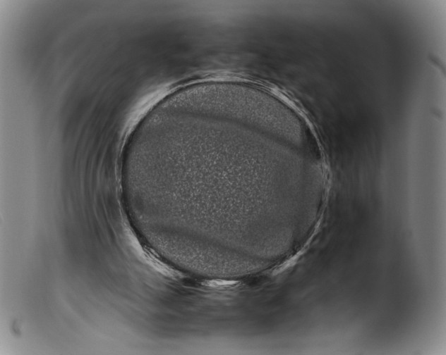 X0000099430055200805231703