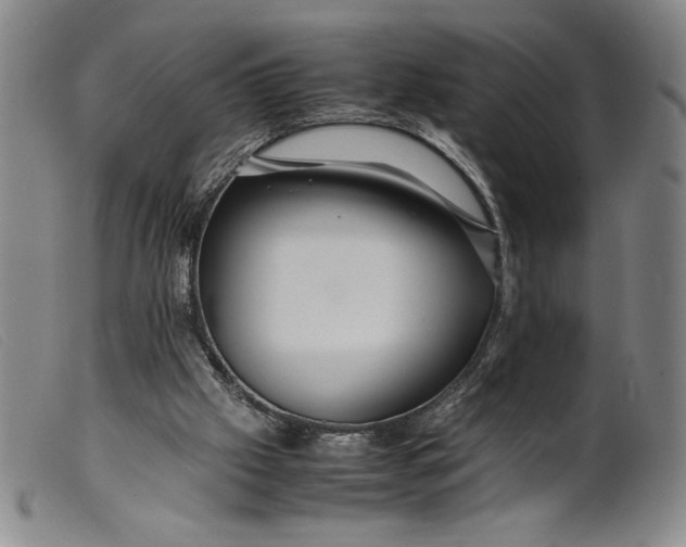 X0000099430057200805231703