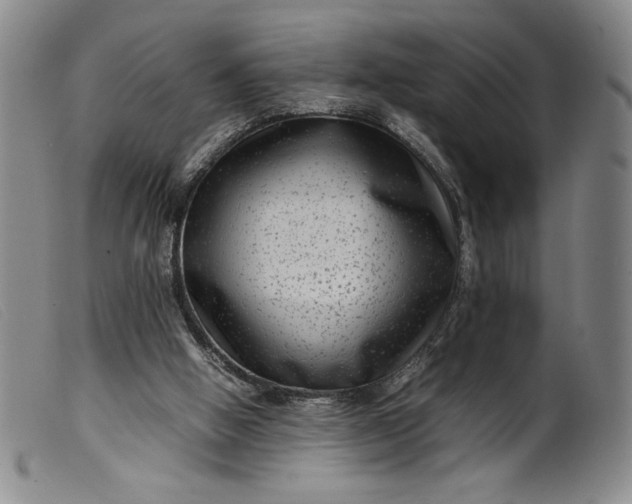 X0000099430058200805231703