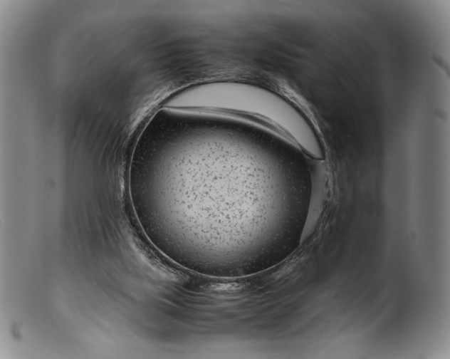 X0000099430059200805231703
