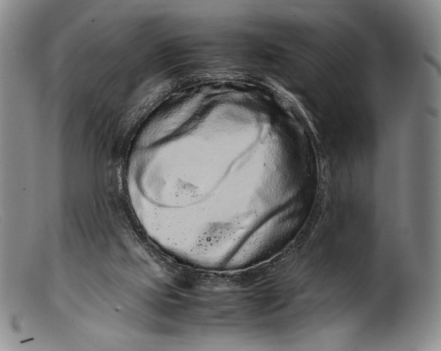 X0000099430061200805231703